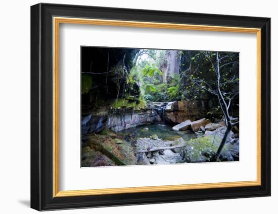 Little Pond in a Rock Crack, Carnarvon Gorge, Queensland, Australia, Pacific-Michael Runkel-Framed Photographic Print