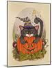 Little Pumpkin-Linda Ravenscroft-Mounted Giclee Print