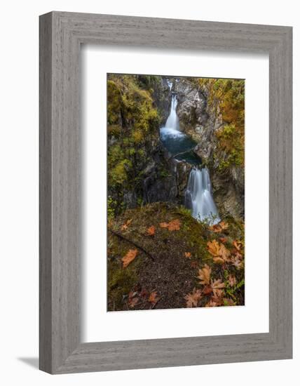 Little Qualicum Falls Provincial Park near Parksville, British Columbia, Canada-Chuck Haney-Framed Photographic Print