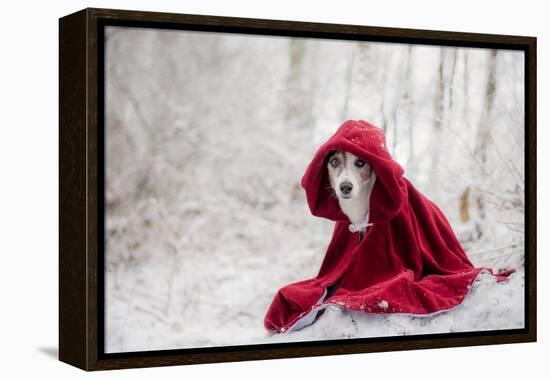 Little Red Riding Hood in Winter-Heike Willers-Framed Premier Image Canvas