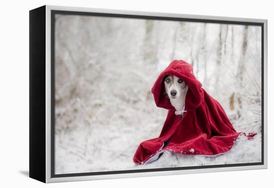Little Red Riding Hood in Winter-Heike Willers-Framed Premier Image Canvas