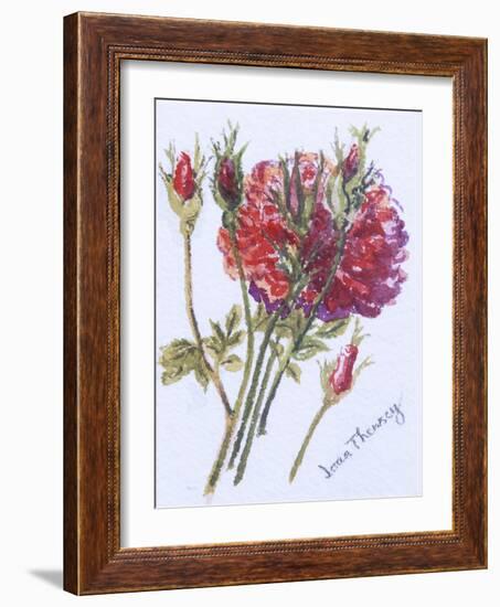 Little Red Roses, 2005-Joan Thewsey-Framed Giclee Print