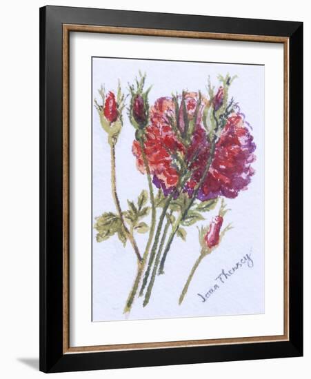 Little Red Roses, 2005-Joan Thewsey-Framed Giclee Print