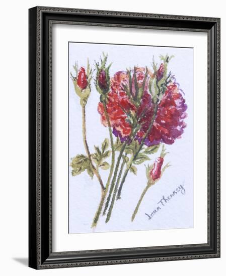 Little Red Roses, 2005-Joan Thewsey-Framed Giclee Print
