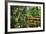 Little Red Southern Footbridge-George Oze-Framed Photographic Print