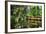 Little Red Southern Footbridge-George Oze-Framed Photographic Print