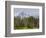 Little Redfish Lake, Sawtooth National Recreation Area, Idaho, USA-Jamie & Judy Wild-Framed Photographic Print