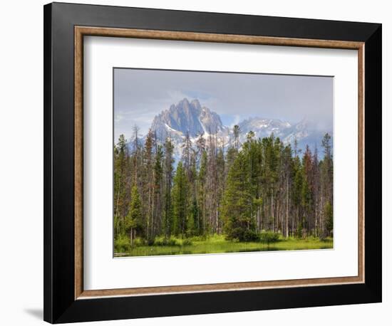 Little Redfish Lake, Sawtooth National Recreation Area, Idaho, USA-Jamie & Judy Wild-Framed Photographic Print