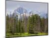 Little Redfish Lake, Sawtooth National Recreation Area, Idaho, USA-Jamie & Judy Wild-Mounted Photographic Print