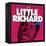 Little Richard, The Georgia Peach-null-Framed Stretched Canvas