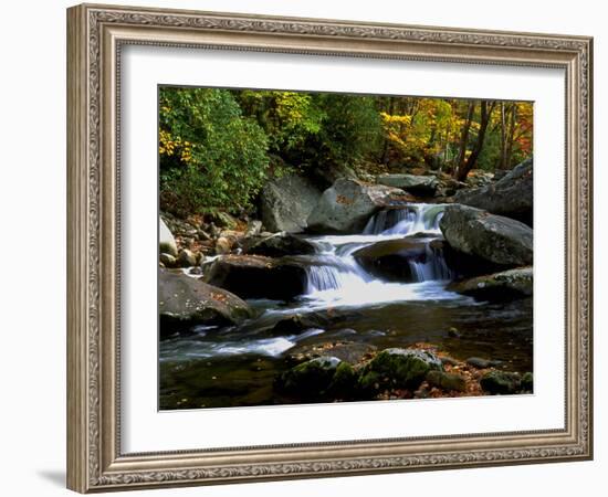 Little River Elkmont #2-J.D. Mcfarlan-Framed Photographic Print