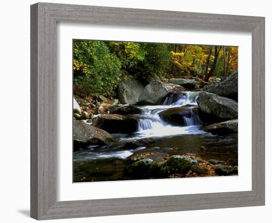 Little River Elkmont #2-J.D. Mcfarlan-Framed Photographic Print