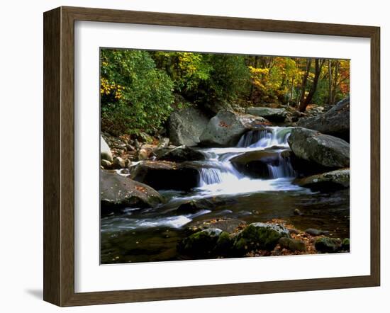 Little River Elkmont #2-J.D. Mcfarlan-Framed Photographic Print