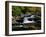 Little River Elkmont #2-J.D. Mcfarlan-Framed Photographic Print