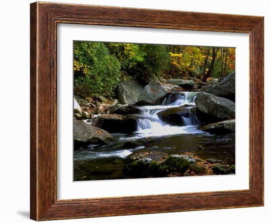 Little River Elkmont #2-J.D. Mcfarlan-Framed Photographic Print