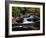 Little River Elkmont #2-J.D. Mcfarlan-Framed Photographic Print