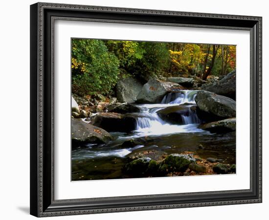 Little River Elkmont #2-J.D. Mcfarlan-Framed Photographic Print