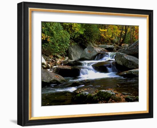 Little River Elkmont #2-J.D. Mcfarlan-Framed Photographic Print