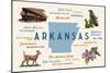 Little Rock, Arkansas - Typography and Icons-Lantern Press-Mounted Art Print