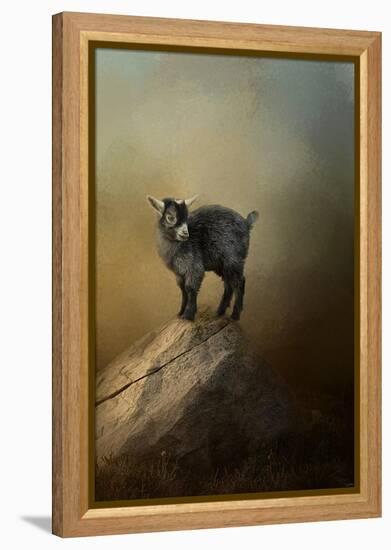 Little Rock Climber-Jai Johnson-Framed Premier Image Canvas