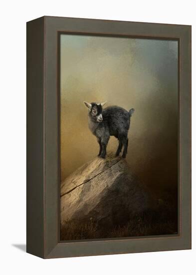 Little Rock Climber-Jai Johnson-Framed Premier Image Canvas