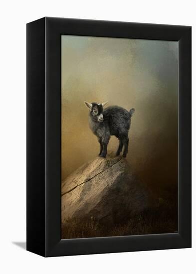 Little Rock Climber-Jai Johnson-Framed Premier Image Canvas