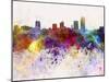 Little Rock Skyline in Watercolor Background-paulrommer-Mounted Art Print