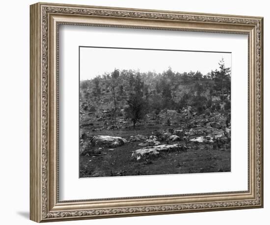 Little Round Top-Jan Havicksz. Steen-Framed Photographic Print