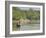 Little Rowing Boat in the Swampy Areas of the Sundarbans, UNESCO World Heritage Site, Bangladesh-Michael Runkel-Framed Photographic Print