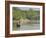 Little Rowing Boat in the Swampy Areas of the Sundarbans, UNESCO World Heritage Site, Bangladesh-Michael Runkel-Framed Photographic Print