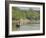 Little Rowing Boat in the Swampy Areas of the Sundarbans, UNESCO World Heritage Site, Bangladesh-Michael Runkel-Framed Photographic Print