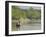 Little Rowing Boat in the Swampy Areas of the Sundarbans, UNESCO World Heritage Site, Bangladesh-Michael Runkel-Framed Photographic Print