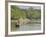 Little Rowing Boat in the Swampy Areas of the Sundarbans, UNESCO World Heritage Site, Bangladesh-Michael Runkel-Framed Photographic Print