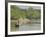 Little Rowing Boat in the Swampy Areas of the Sundarbans, UNESCO World Heritage Site, Bangladesh-Michael Runkel-Framed Photographic Print