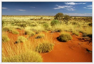 Little Sandy Desert Western Australia' Photographic Print 