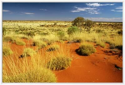Little Sandy Desert Western Australia' Photographic Print Little Sandy Desert Western Australia' Photographic Print