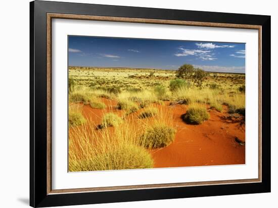 Little Sandy Desert Western Australia-null-Framed Photographic Print