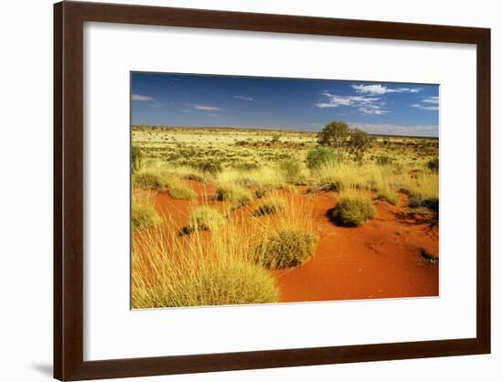 Little Sandy Desert Western Australia-null-Framed Photographic Print