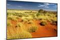 Photographic Print