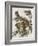 Little Screech Owl or Mottled Owl-John James Audubon-Framed Art Print