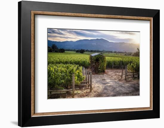 Little Shed, Napa Valley, California-George Oze-Framed Photographic Print