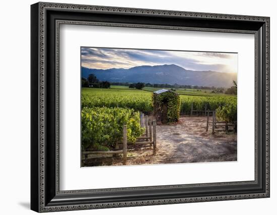 Little Shed, Napa Valley, California-George Oze-Framed Photographic Print