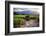 Little Shed, Napa Valley, California-George Oze-Framed Photographic Print