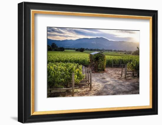 Little Shed, Napa Valley, California-George Oze-Framed Photographic Print