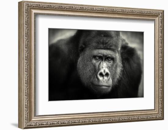 Little Smile-Antje Wenner-Braun-Framed Photographic Print