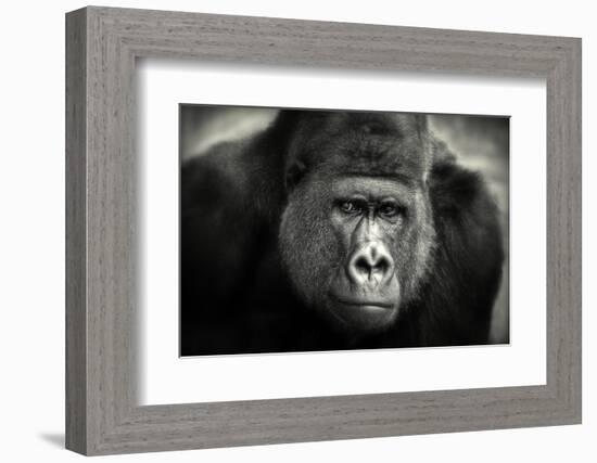 Little Smile-Antje Wenner-Braun-Framed Photographic Print