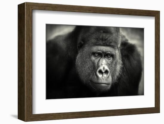 Little Smile-Antje Wenner-Braun-Framed Photographic Print