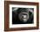 Little Smile-Antje Wenner-Braun-Framed Photographic Print