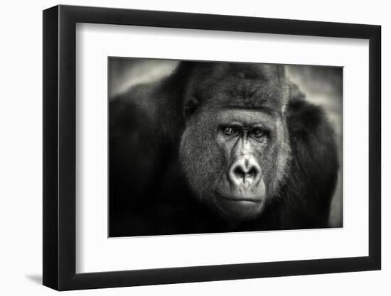 Little Smile-Antje Wenner-Braun-Framed Photographic Print