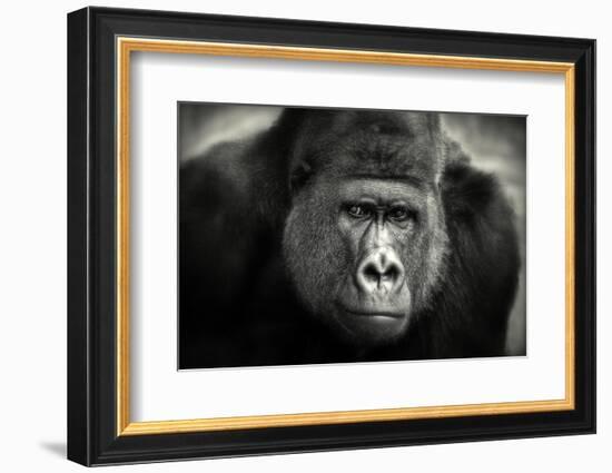 Little Smile-Antje Wenner-Braun-Framed Photographic Print